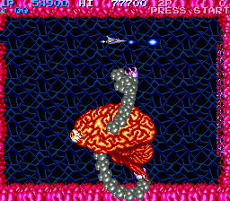 salamanderdeluxepackplus